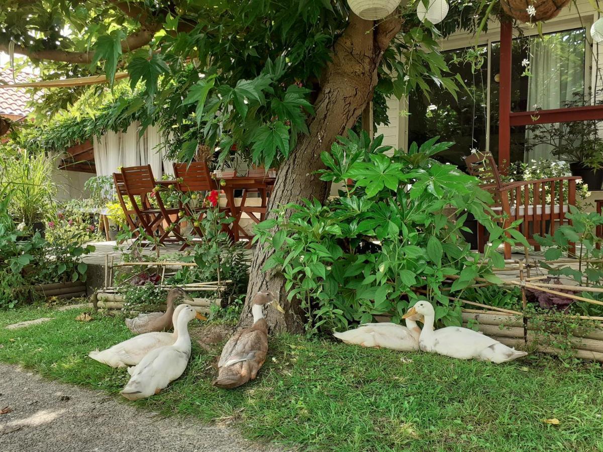 Au Bosquet, Chambre Et Salle De Bains Avec Petit Dejeuner A 600 M Du Centre Dans Un Cadre Calme Et Verdoyant Salies-de-Béarn Zewnętrze zdjęcie